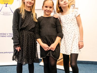 Obrázek galerie 20197