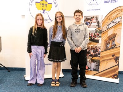 Obrázek galerie 20198