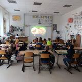 Ptačí hodinka se protáhla